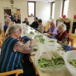 čiščenje stročjega fižola